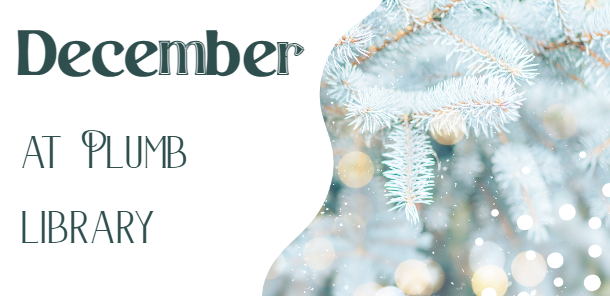 Close up of evergreen tree in winter