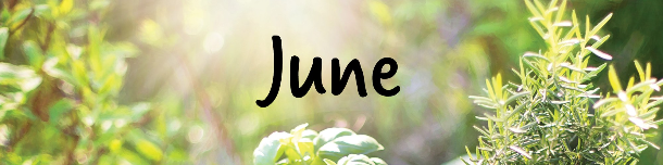 clovers with March at the Library