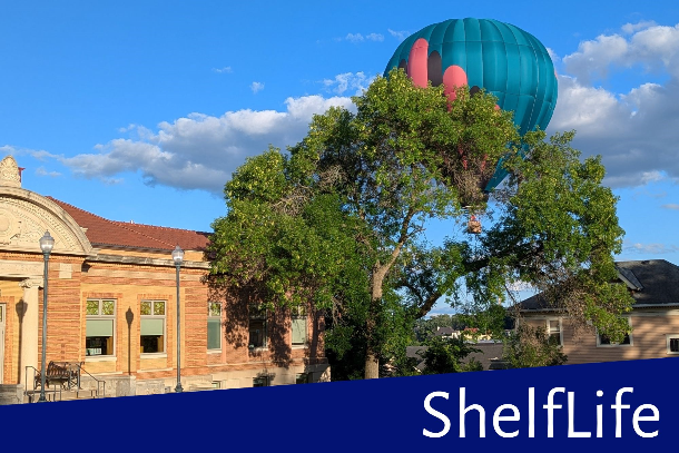 Library with a hot air balloon low in the sky to the right