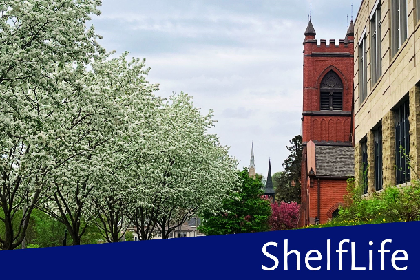 Library's 4th St Entrance and Cornice