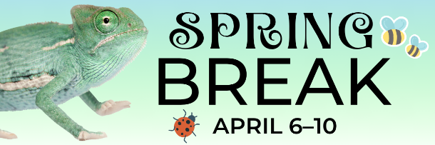 Spring Break, April 6–10 on a gradient green and blue background featuring a chameleon image and stylized bumblebees and a ladybug. 
