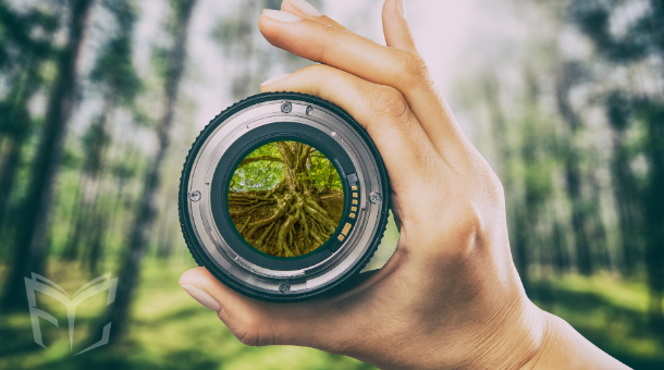 A hand holds a camera lens against a blurred background of trees and sunlight. The center of the lens shows a clear image of exposed, gnarled roots of a large, ancient tree spread across the ground, with green foliage visible above.