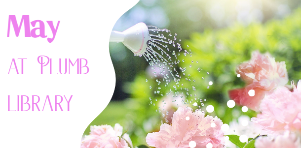 Pink flowers being watered by watering can