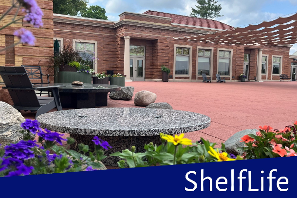 Library terrace with potted flowers in bloom