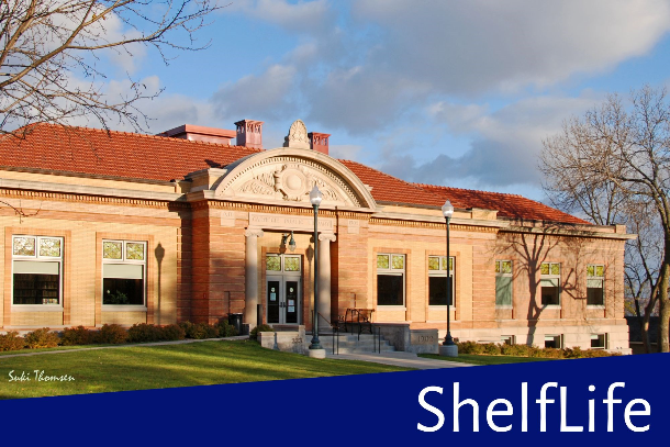 Stillwater Public Library viewed from 4th Street Side, with shadows and leafless trees, by Suki Thomsen