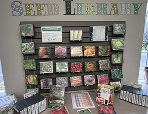 Photo of the Parkhill Library seed library.
