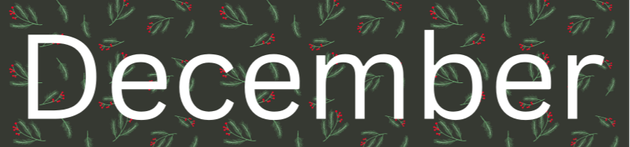 Muskoka Lakes Public Library November 2025 Newsletter Banner. The word November across a fall coloured field. 