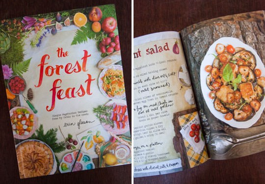 Planting Small Succulent Pots