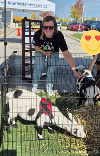 Siiri petting goats at the farmers' market