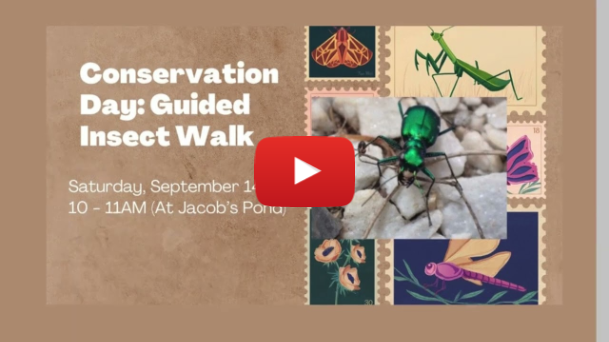 Norwell Public Library Event Calendar September 2024