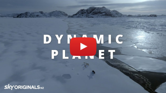 Dynamic Planet Season One | Official Trailer | Sky Originals