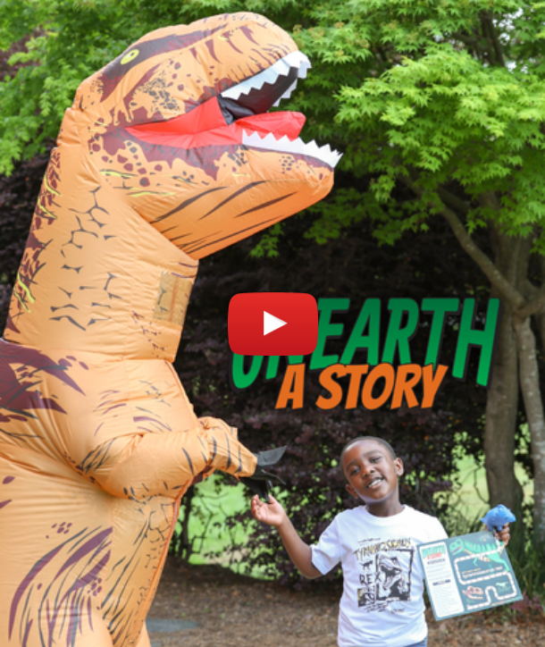 Link to Summer Reading video